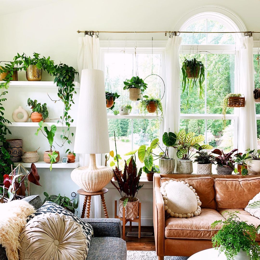 essential-plants-for-a-bohemian-interior-gallery
