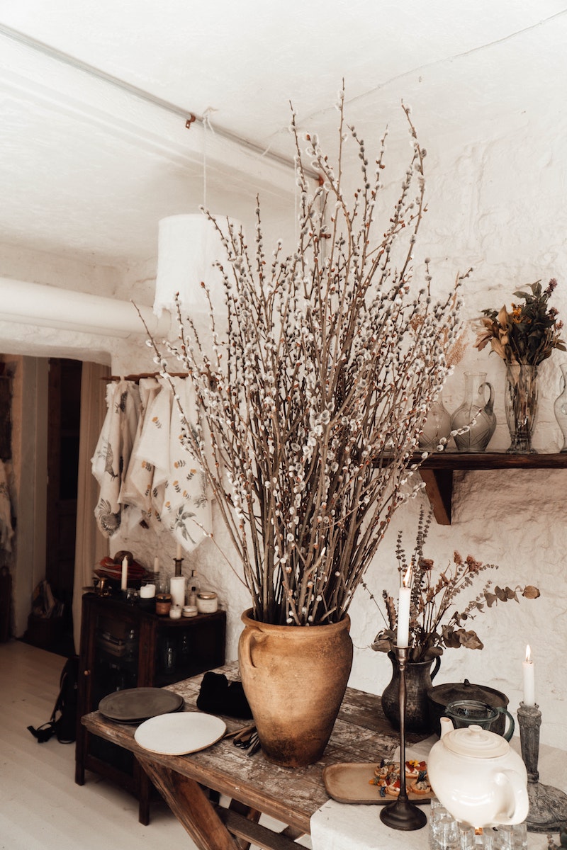 Could Salix Be the Next Addition to Your Floral Arrangements?006