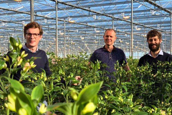 Michele Squeri with Wouter Jongkind and Fedor Van Veen