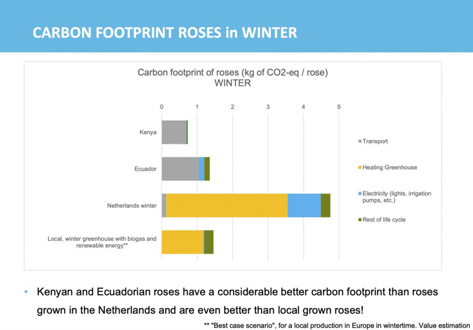 How Sustainable Is a Rose From Ecuador - Winter