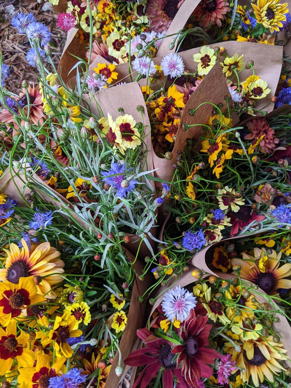 Local Farmer-Florists Are Blooming 11 Stars of the Meadow