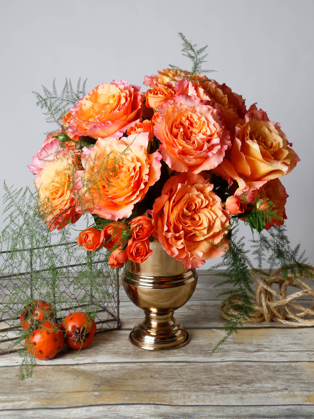 Beyond Blush Color Variety in Garden Roses from Alexandra Farms - Rose Free Spirit