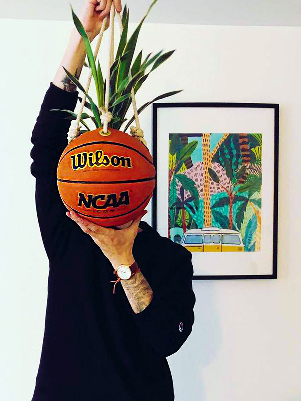 Hoops and Horticulture Is Where Hoops and Plants Collide 24