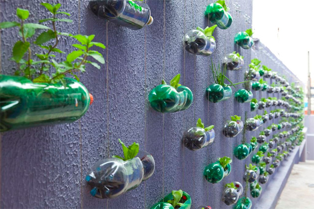 Brazilian Homes Get a Colorful Makeover With a Vertical Garden006