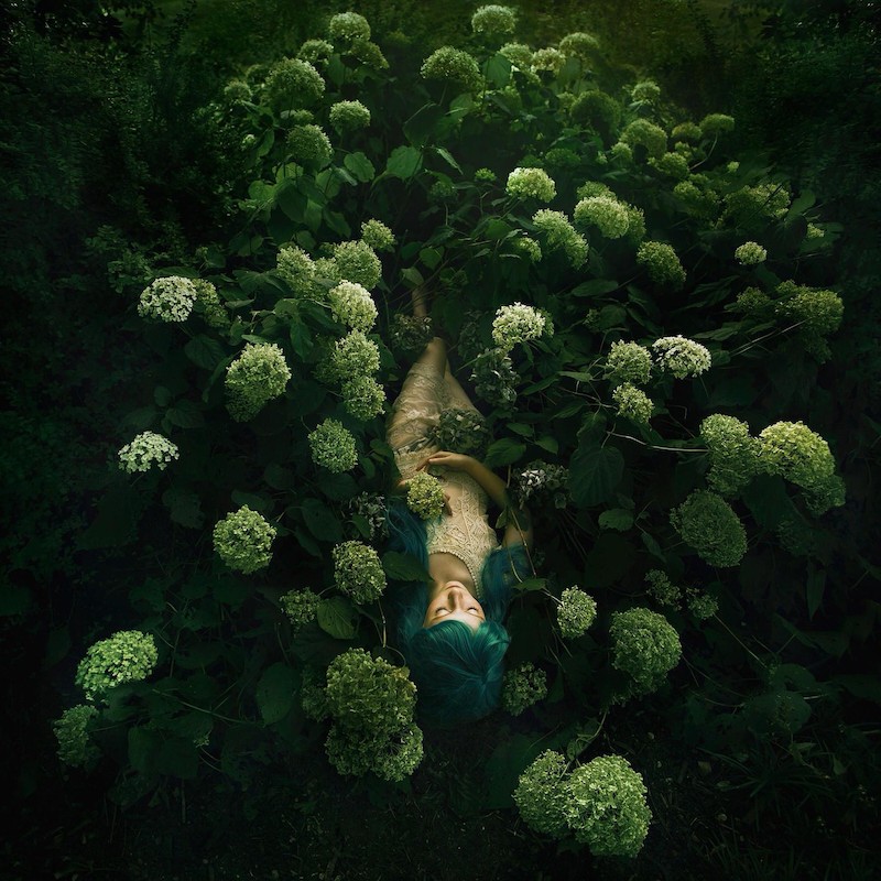 Bella Kotak Immerses You in a Fairytale World of Flowers011