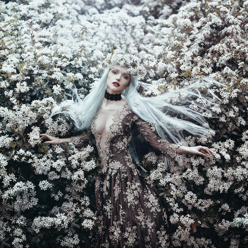 Bella Kotak Immerses You in a Fairytale World of Flowers010