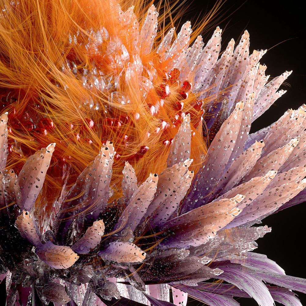 Shy Studio Recreates the Natural World Through a Series of Lifelike Botanicals012