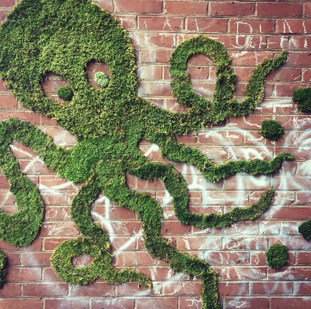 The Art of Moss Graffiti and How to Do it Yourself011
