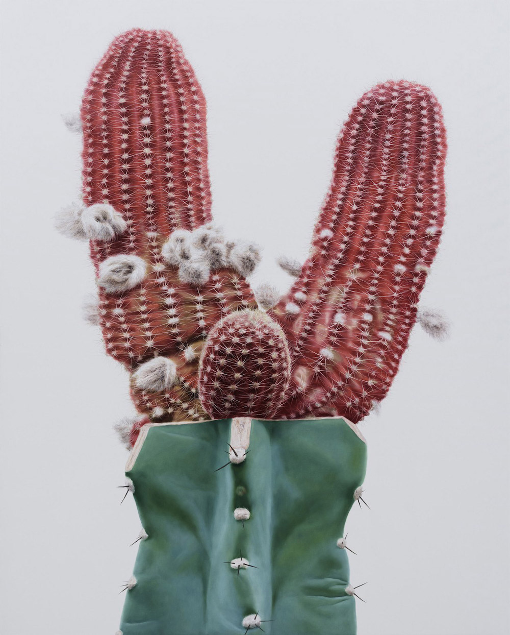 Kwang-ho Lee Brings Cacti to Life in His Giant Paintings003
