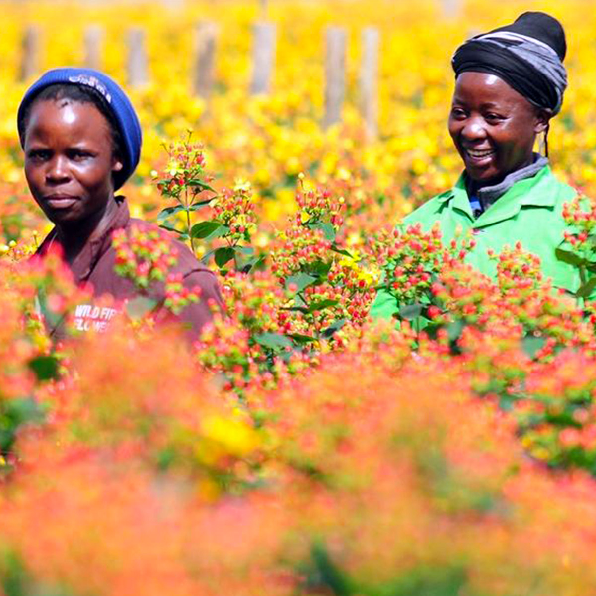 TOTF2021FE 26 Kenya Flower Council 12
