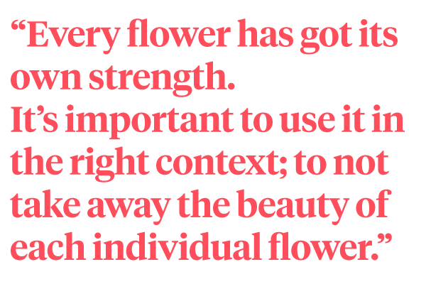 Ercole Moroni quote about Avalanche+ roses