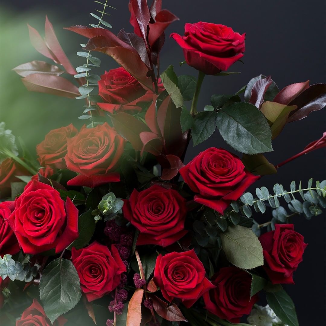 These Are the Most Beautiful Red Roses for Christmas013