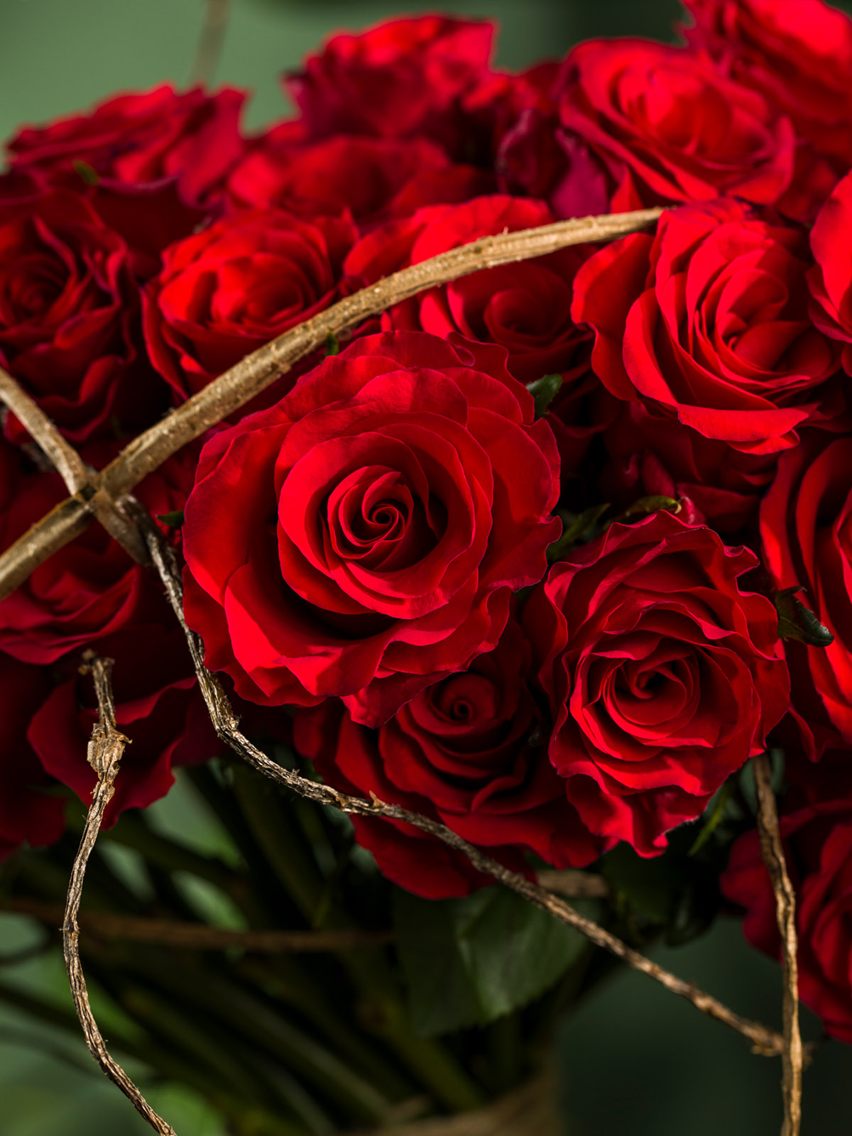 These Are the Most Beautiful Red Roses for Christmas015