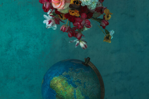 Earthflower by Lis Art - On Thursd