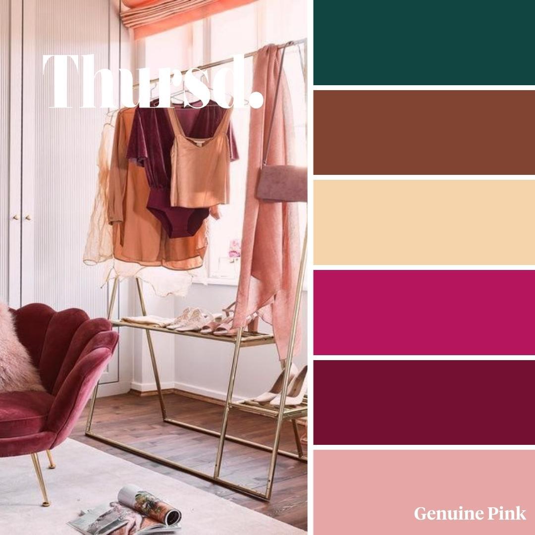 Thursd Trend Color Palette of the Year 2022 Genuine Pink