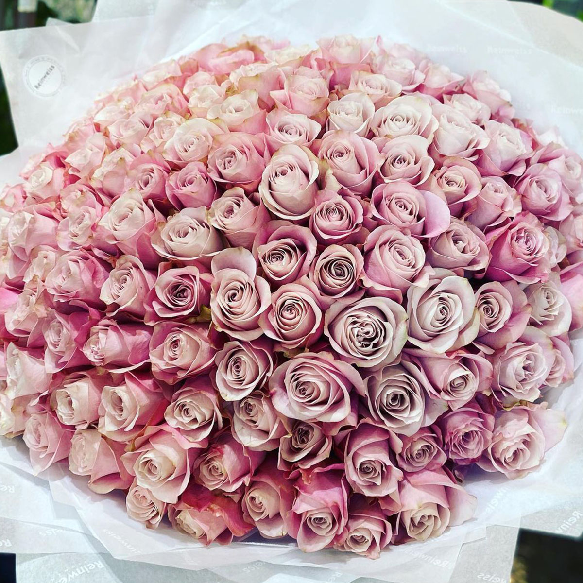 20 Flowers That Fit Into Your Genuine Pink Color Palette - Rose Secret Garden 1