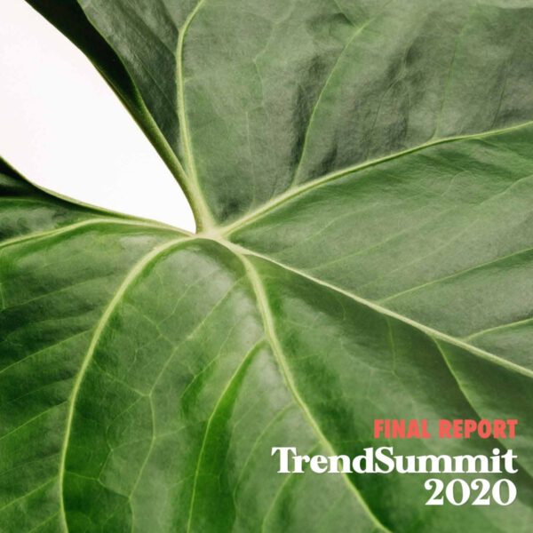 Trend Summit 2020 Report - Hitomi Gilliam - On Thursd report
