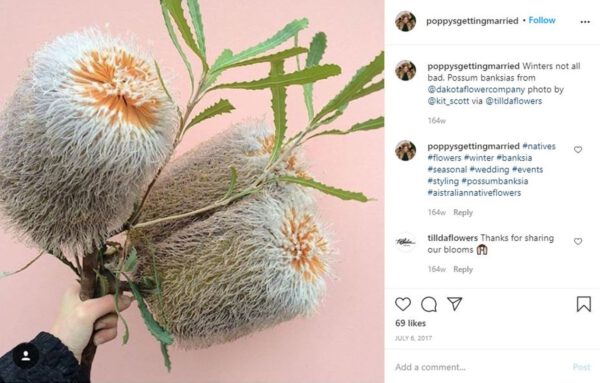 Banksia by Wedding Florist Melbourne on Thursd
