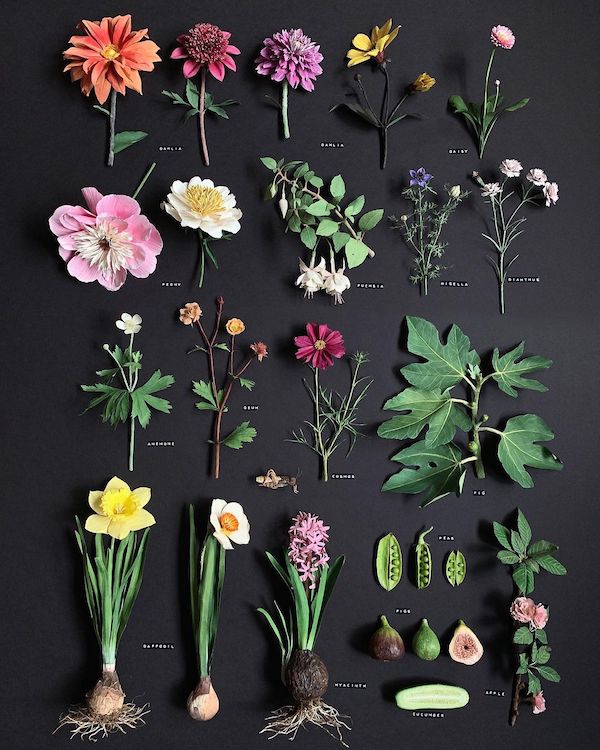 Woodlucker Re-Creates the Botanical World in Paper003