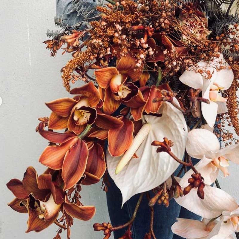 cymbidium orchid brown product blog on Thursd anthurium bouquet