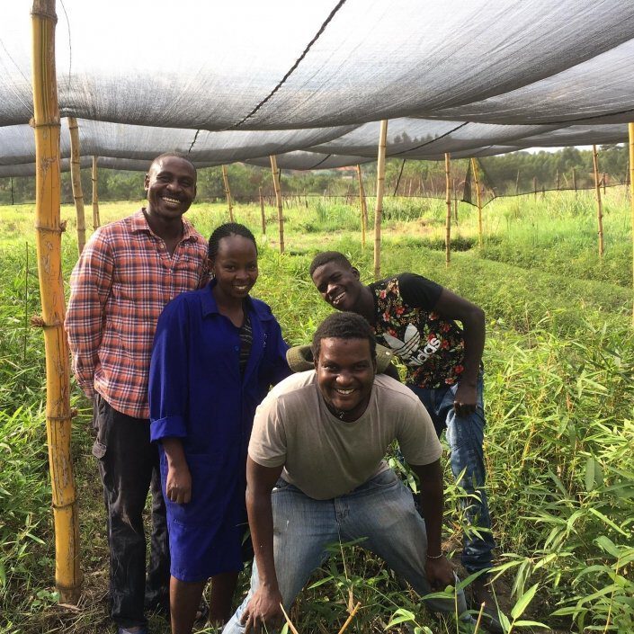 Bamboo Nursery Uganda