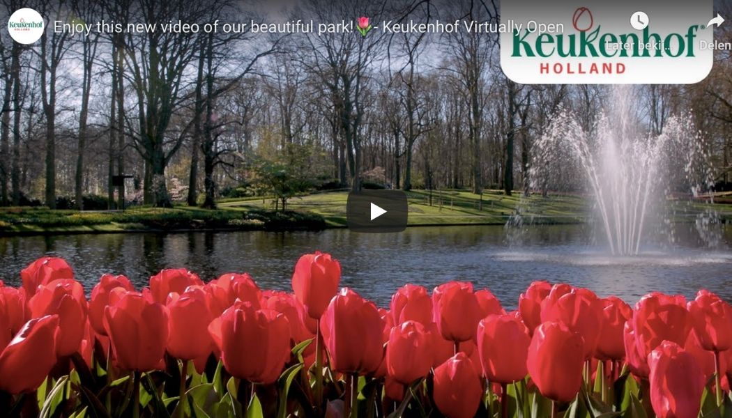 Keukenhof Virtual Tour video (1)