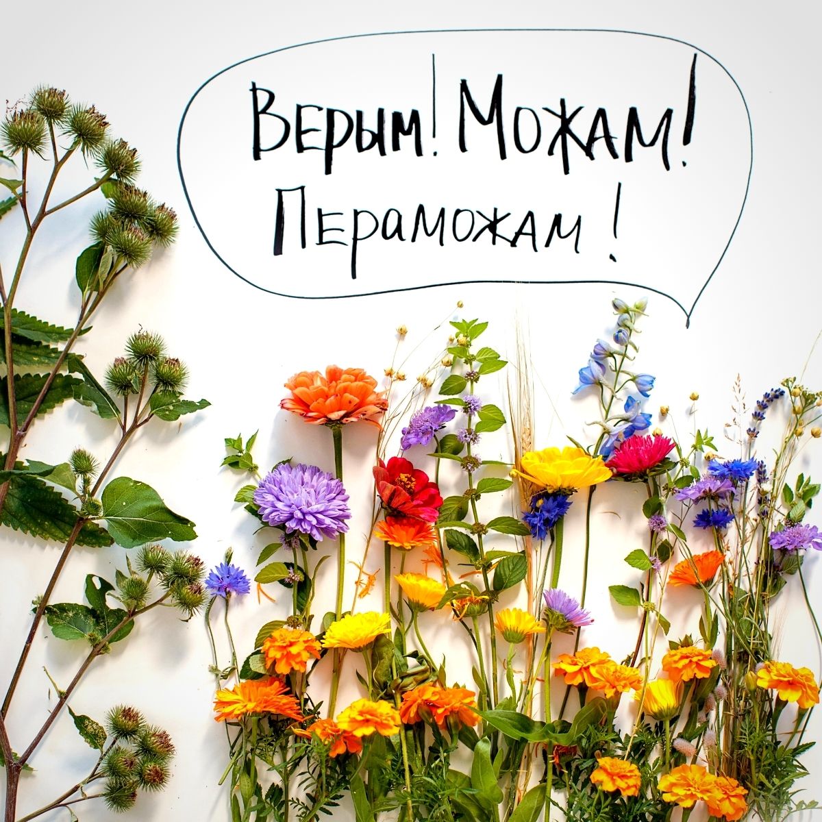 Flower Revolution of Belarus - Olga Gaydukevich on Thursd - 005