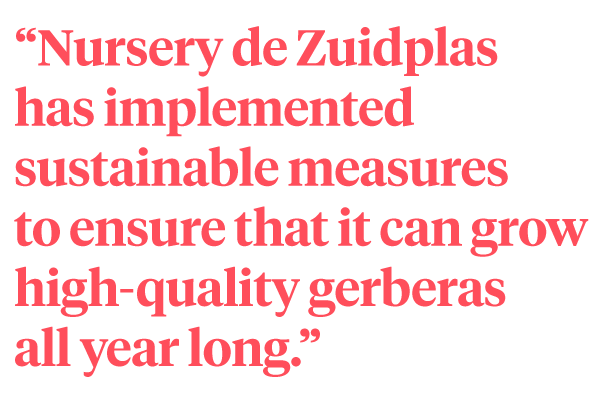 De Zuidplas on Sustainability