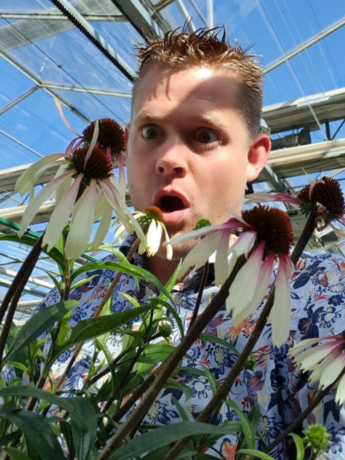 Echinacea Pretty Parasols  - Peter van Rijssen - Blogger on Thursd. 04