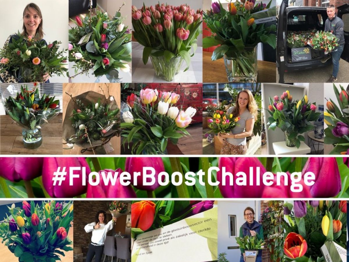 Flowerboostchallenge - article by Wouter Jongkind - on Thursd