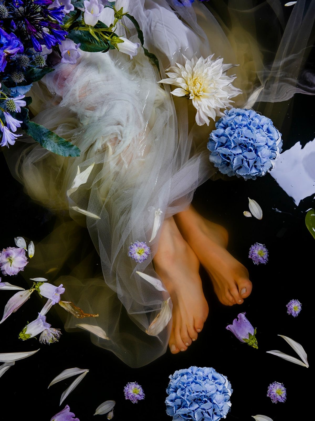 Ophelia - Josefien Goethals on Thursd - Blue Hydrangea floating  in water