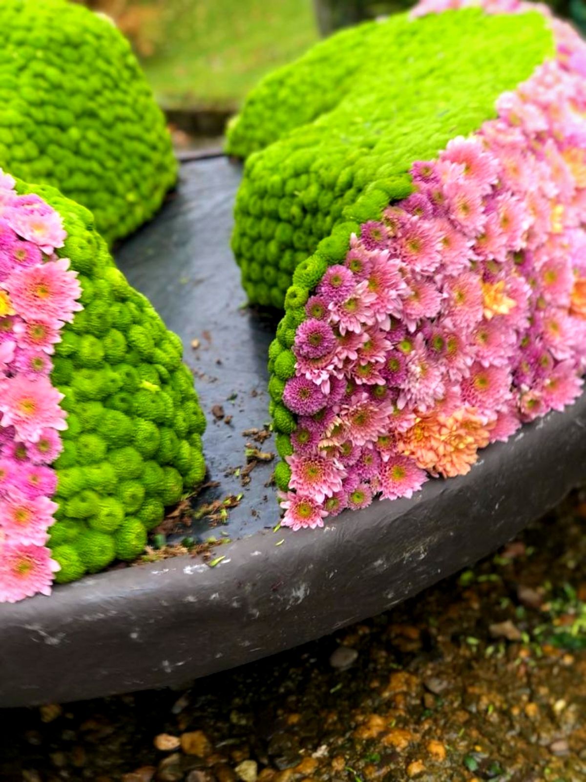 Design Japanese Garden Haiku in bloom by Liz Rosales flowers Just Chrys - Blog on Thursd (1)