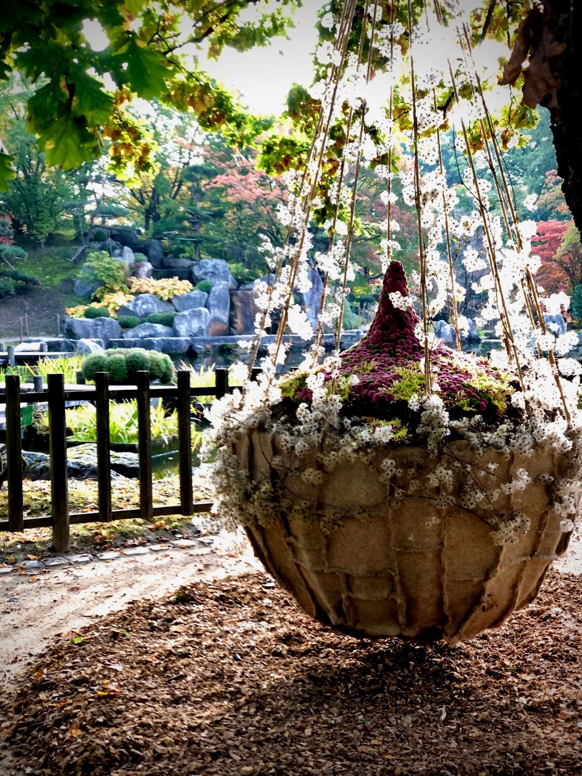 Design Japanese Garden 6 Haiku in bloom by Tom de Houwer  flowers Just Chrys  - Blog on Thursd