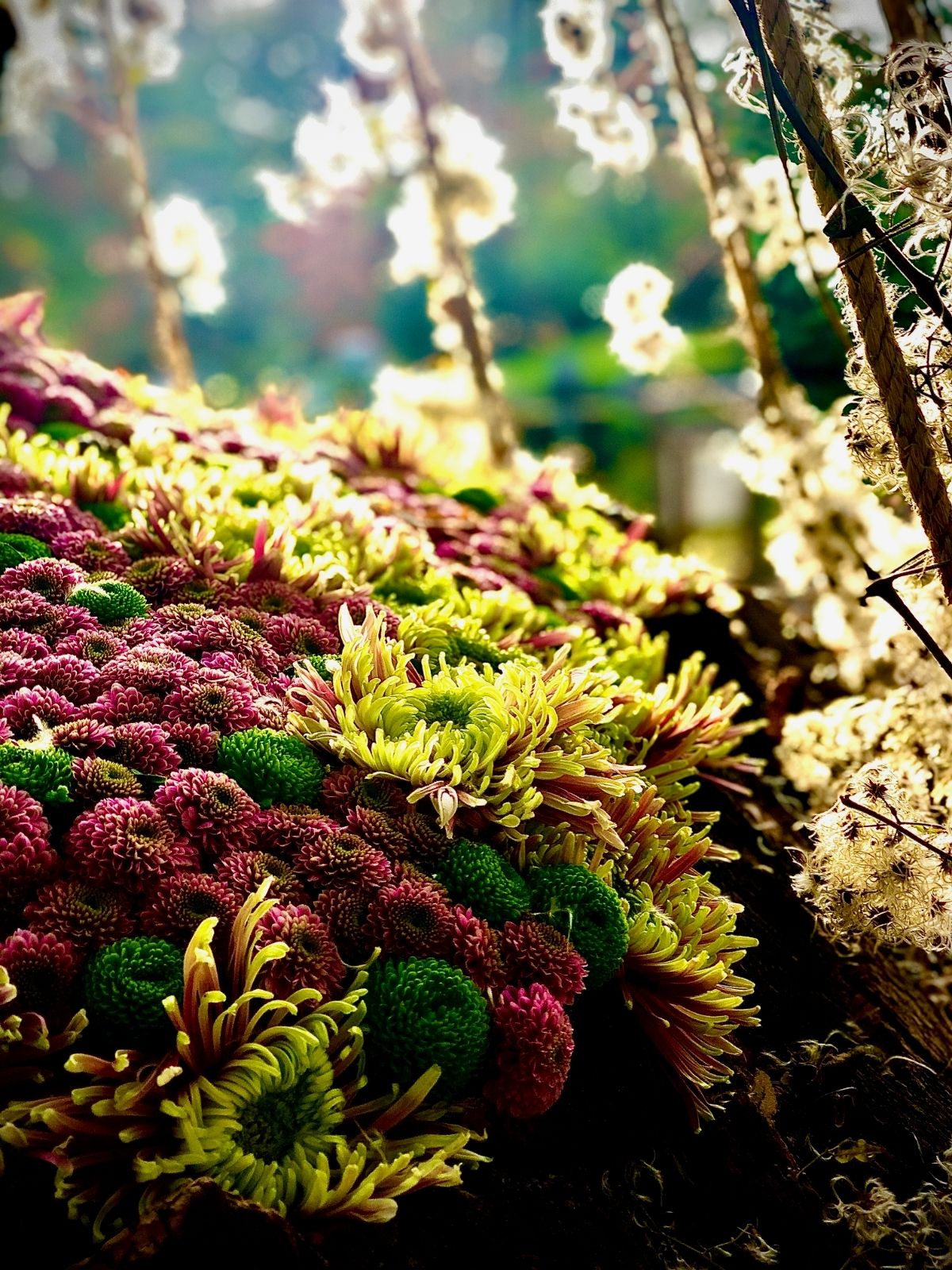 Design Japanese Garden 4 Haiku in bloom by Tom de Houwer  flowers Just Chrys  - Blog on Thursd