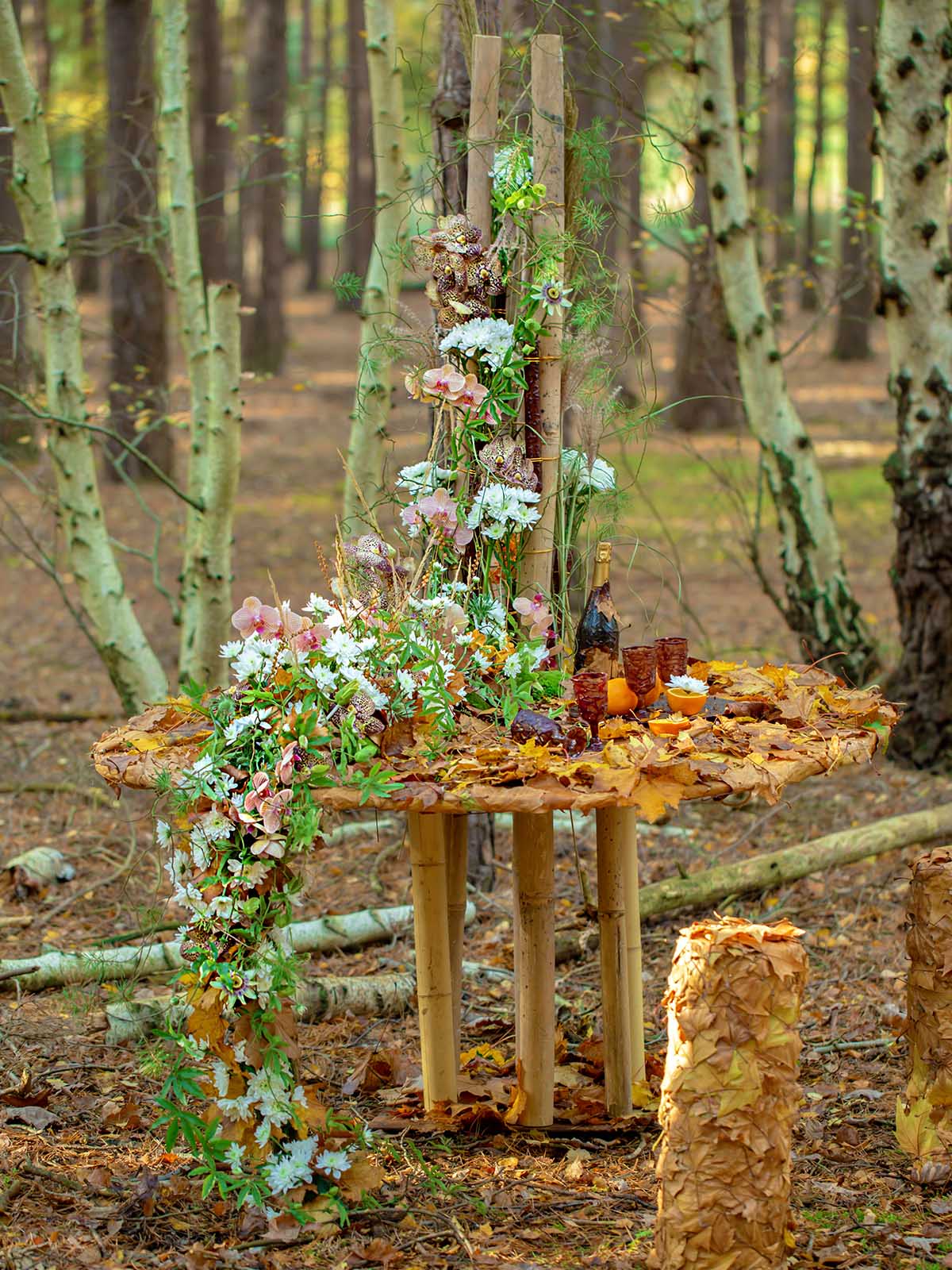 Fairytale in the Woods 01