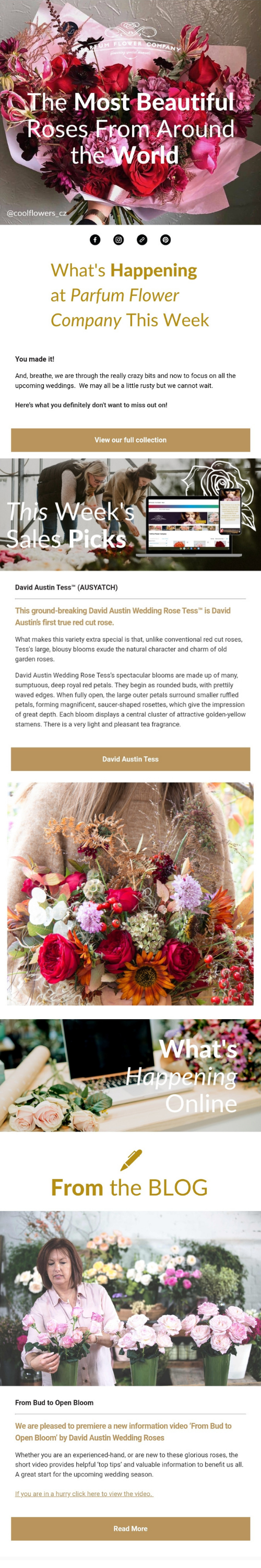 Parfum Flower Company Newsletter