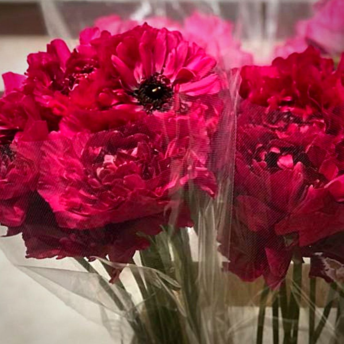Japanese Flowers - Peter van Delft Weekly #51- Ranunculus Charlotte Red