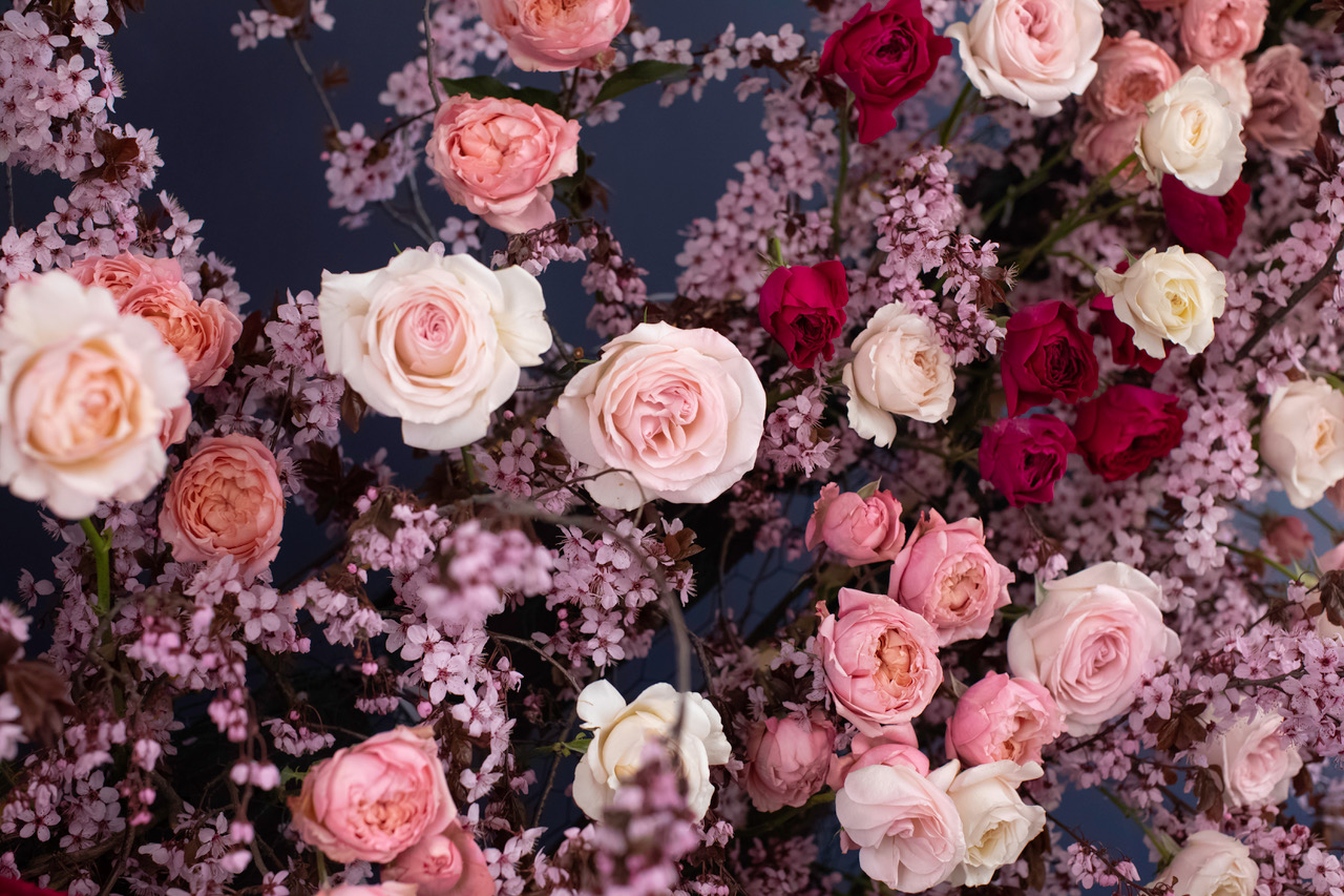 Garden Roses Will Woo You in This Spring Design - Alina Neacsa Blogs on Thursd