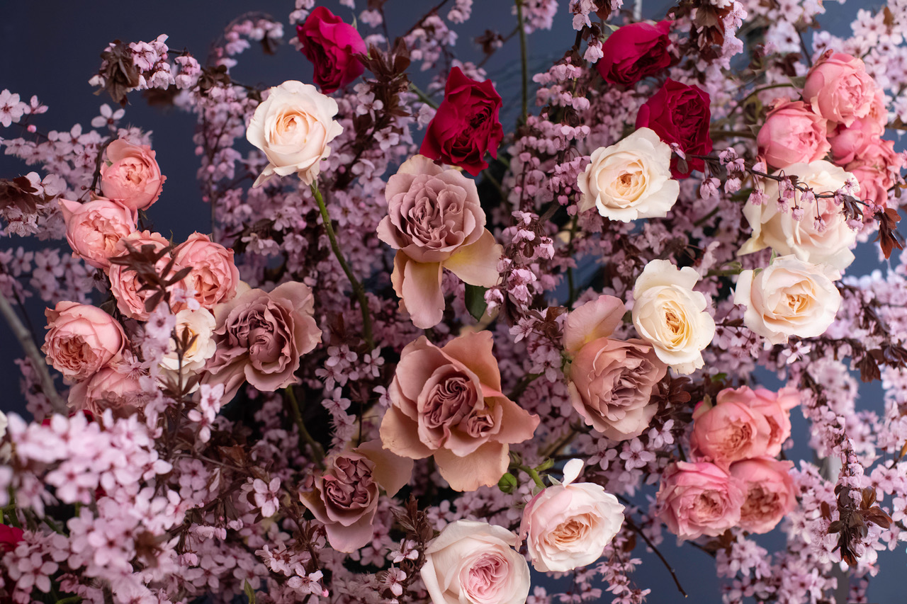 Garden Roses Will Woo You in This Spring Design - Alina Neacsa on Thursd