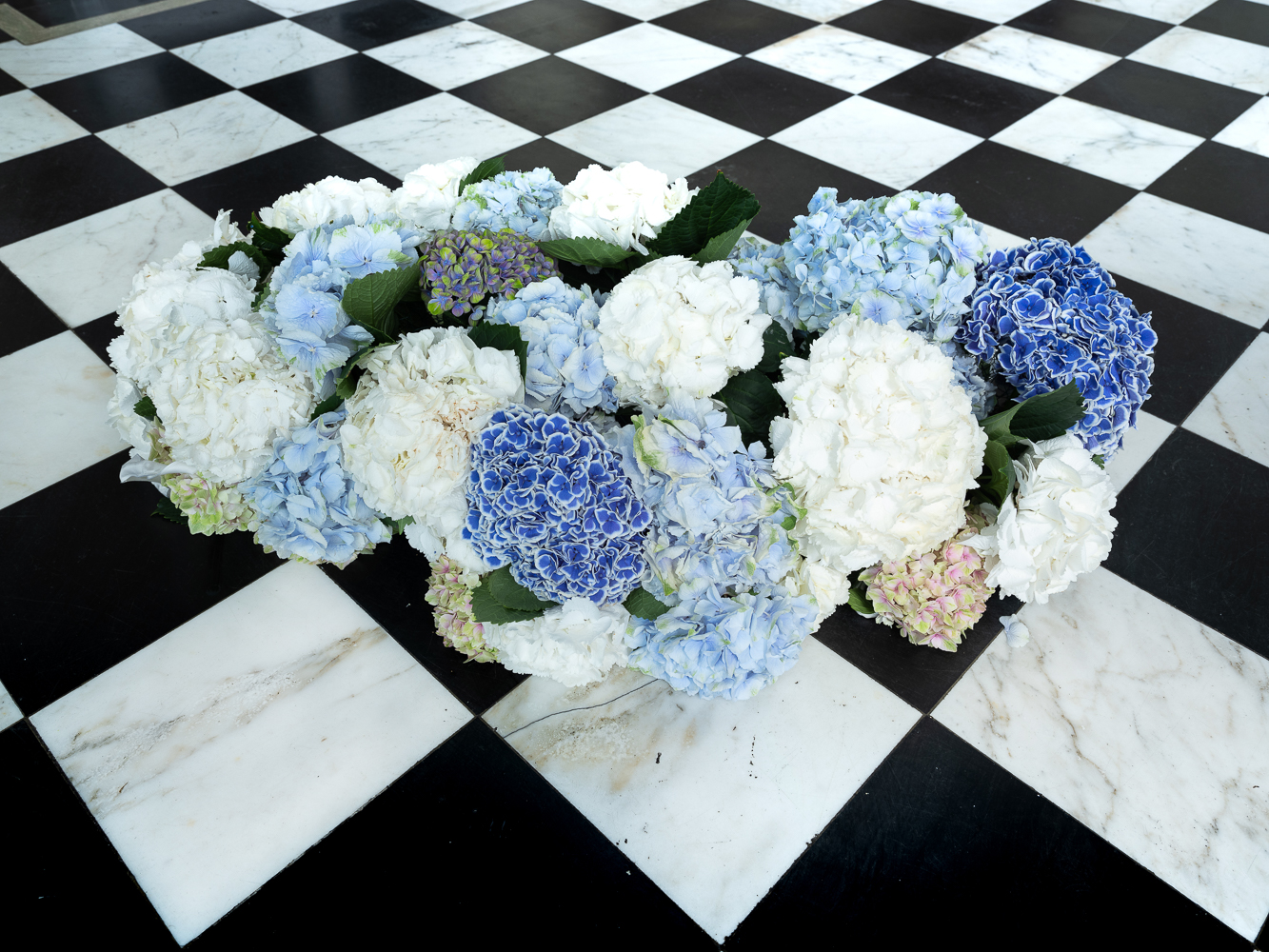 Hydrangea, Your Go-to Flower for a Bold and Striking Design - blue white hydrangea cloud 2 - sarah richardson - blog on thursd - Photographer Casey Orr