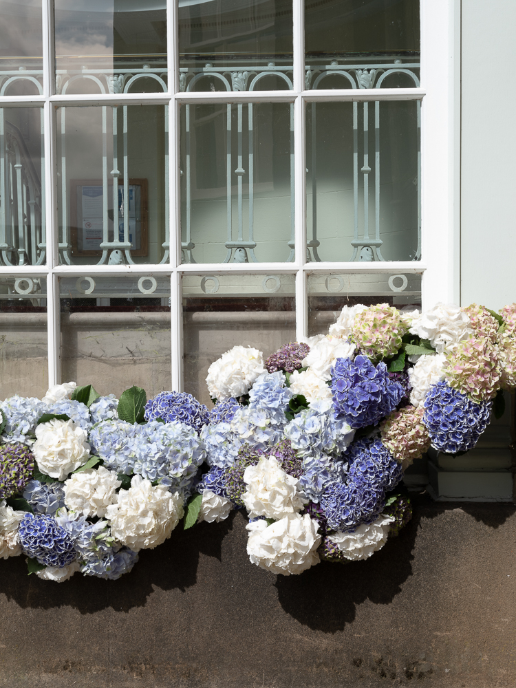 Hydrangea, Your Go-to Flower for a Bold and Striking Design - windowsill design hydrangeas 1 - sarah richardson - blog on thursd - Photographer Casey Orr