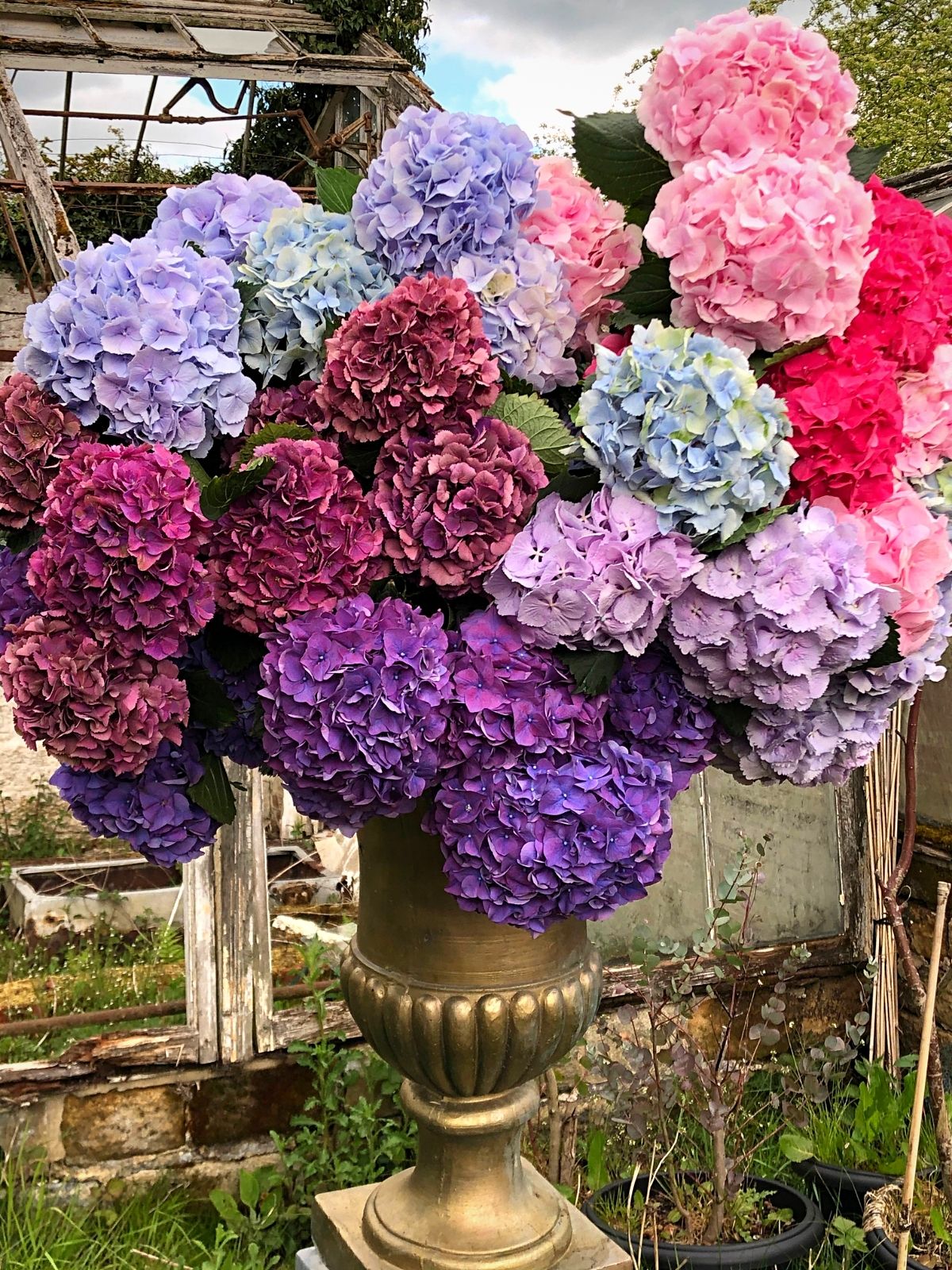 The Versatility of the Hydrangea - Blog on Thursd by Sarah Richardson from Leafy Couture (16)