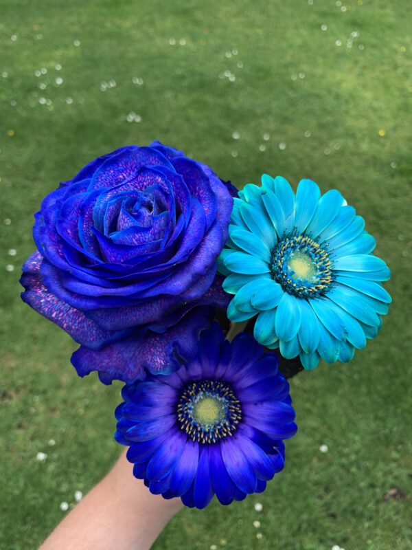 Hypnotic range blue dyed flowers - The Flower Lab on how to dye your own flowers