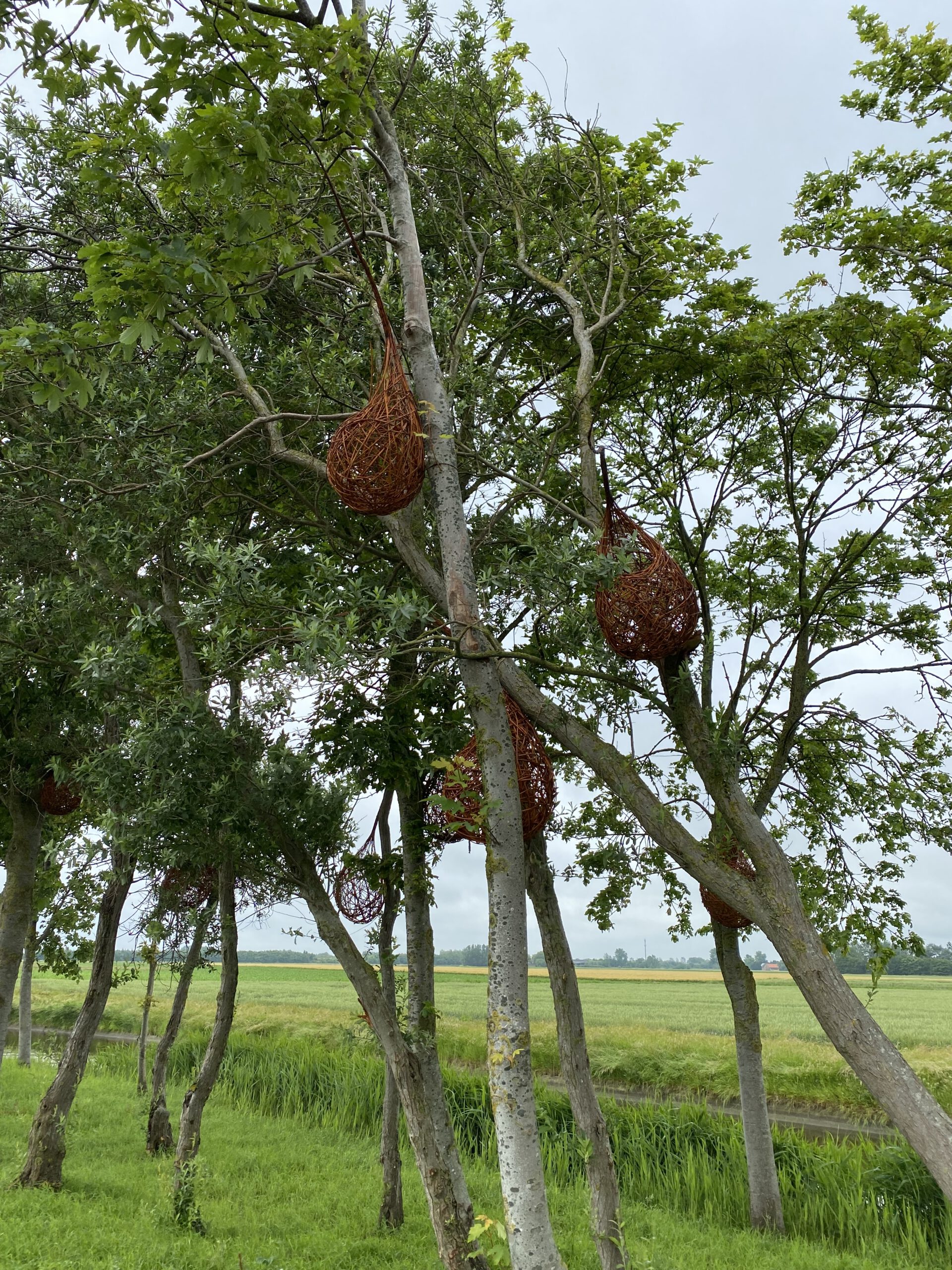 A FANTASTIC LAND-ART PROJECT BY GEERT PATTYN IN THE COAST AREA OF FLANDERS - cocoons - An Theunynck blog on thursd