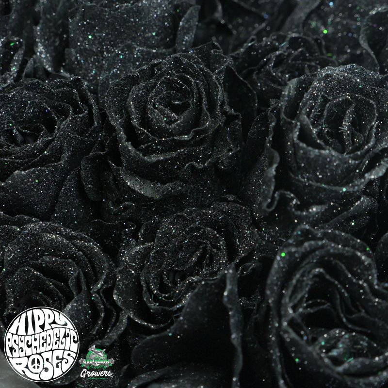 JF_HippyPsychedelic_Roses_Website_Gallery_Healing_BlackTourmaline