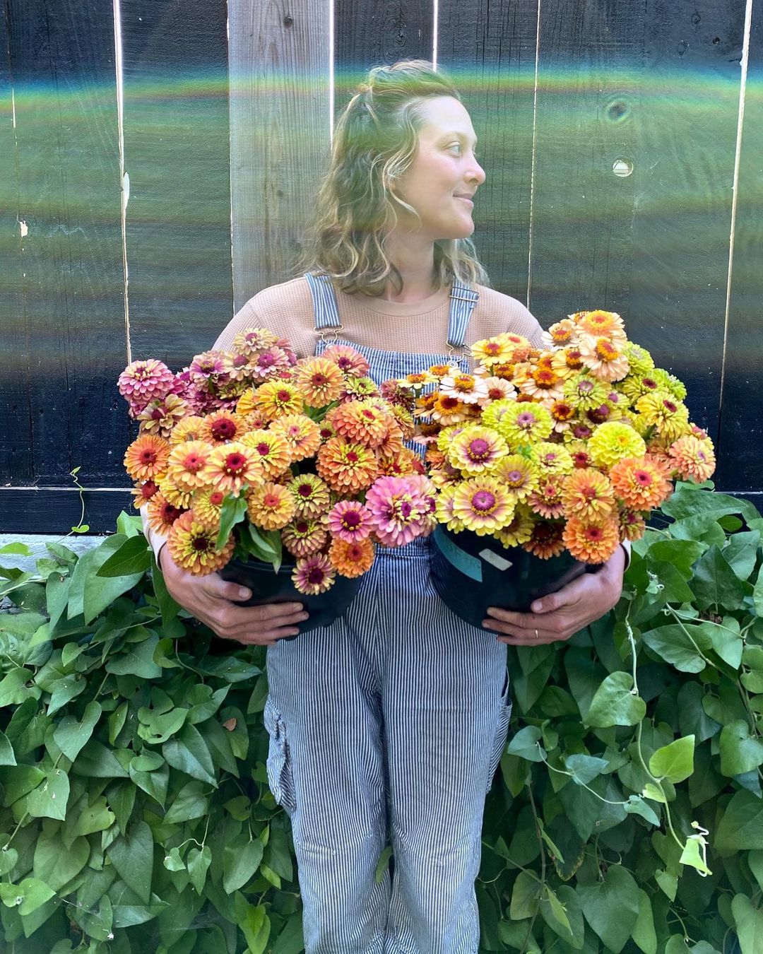 La Musa de las Flores Interviews Joanna Letz - la musa de las flores blog on thursd - buckets filled with zinnias of bluma farm
