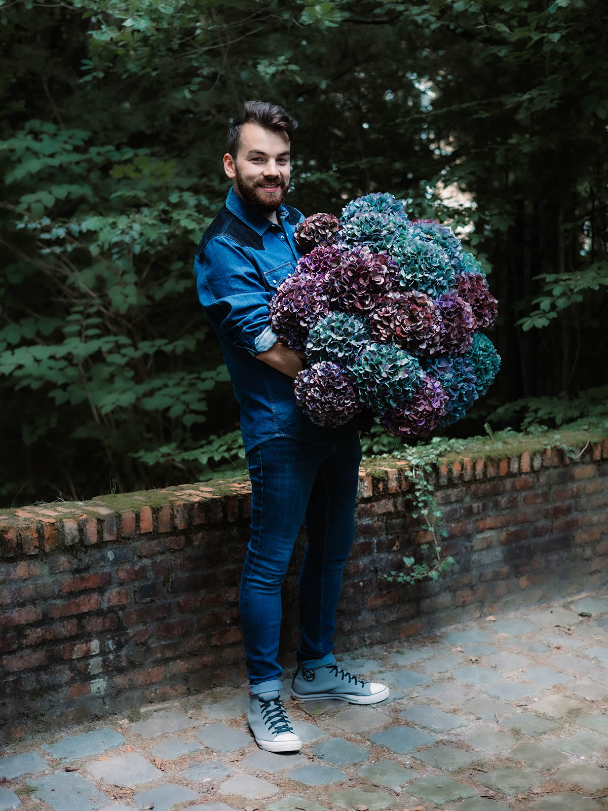 How to Make Hydrangeas Pimpernel Classic & Red Ruby Classic Stand Out - Martijn Schevernels 01