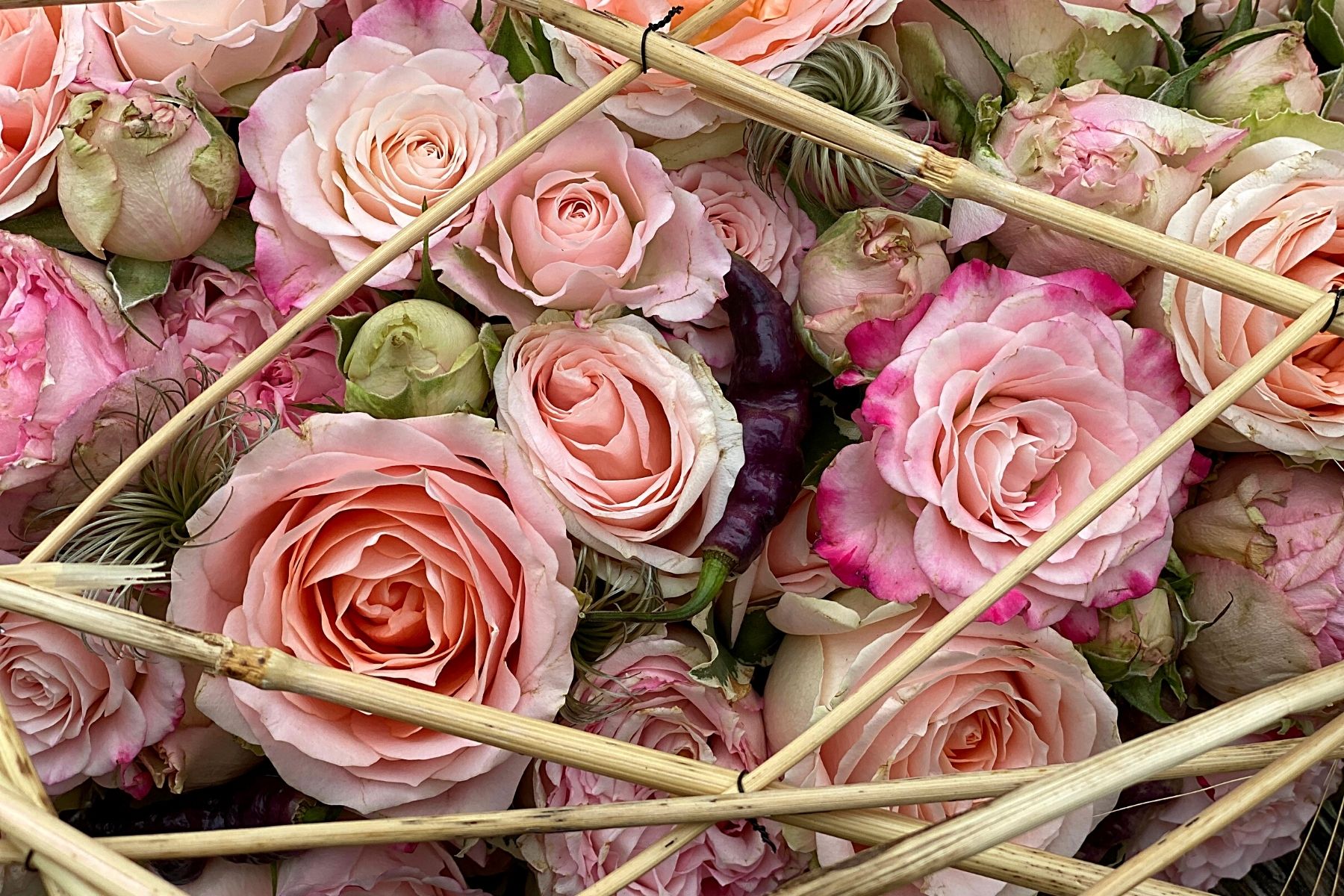 For the Love of a Rose, the Florist Is the Servant of a Thousand Thorns - Article on Thursd (9)