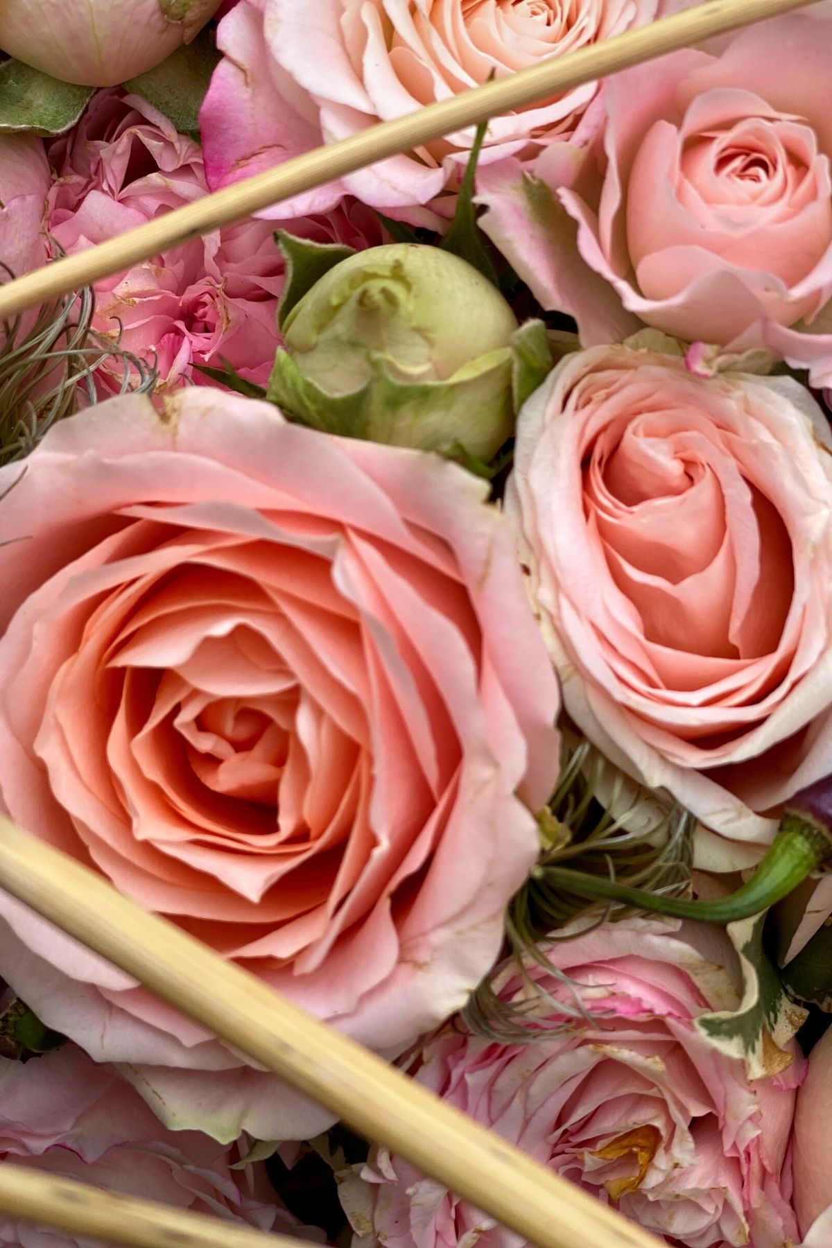 For the Love of a Rose, the Florist Is the Servant of a Thousand Thorns - Article on Thursd (20)
