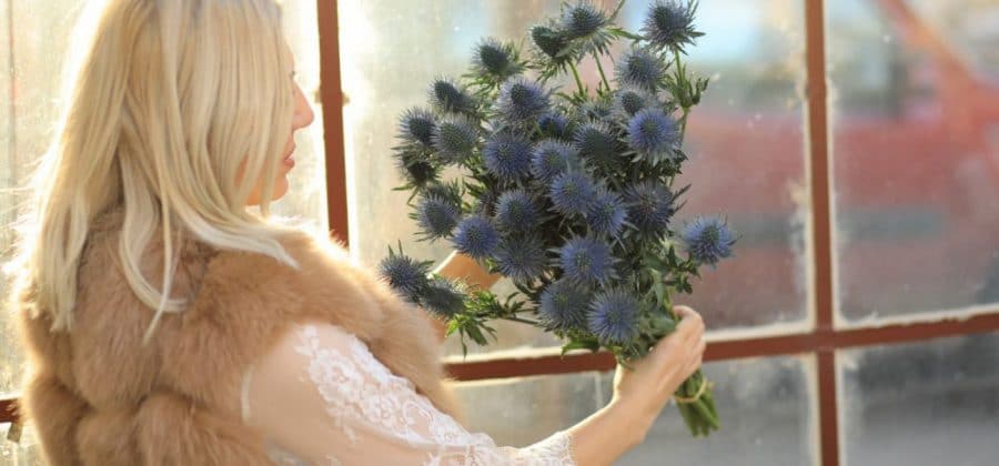 Alina with Eryngium Magnetar from Marginpar - Alina Neacsa - on Thursd